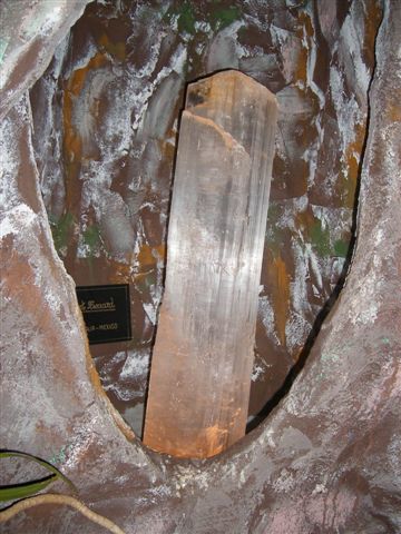 Giethoorn De Oude Aarde Museum - Fossili Cristallo Particolare